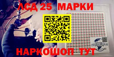 СК Сланцы