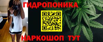 СК Сланцы