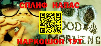 СК Сланцы