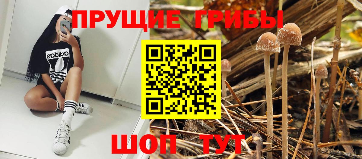 Отрадный  Псилоцибиновые грибы Cubensis  Вход с VPN  Псилоцибиновые грибы MAGIC MUSHROOMS 